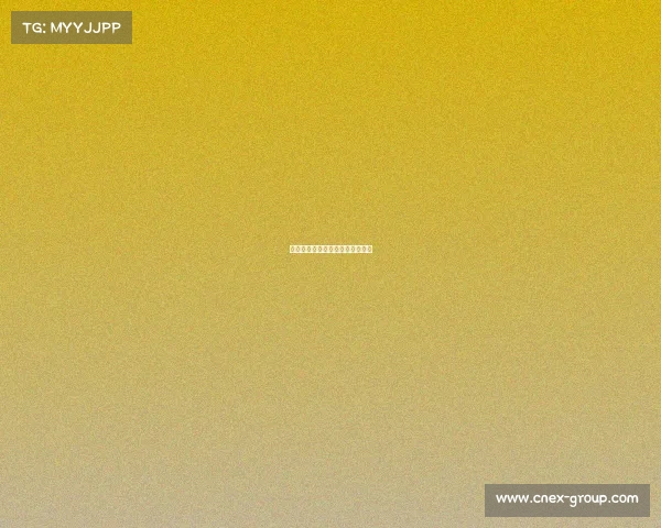 西甲赛事全盘点竞赛详情完整指南